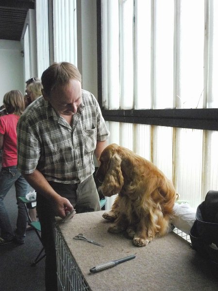 Litomerice 2009 026.jpg